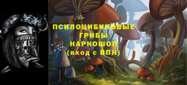 гашик Кукмор