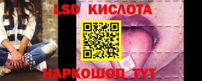 дмт Гай