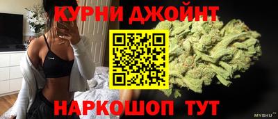 дмт Гай