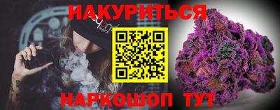 дмт Гай