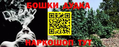 дмт Гай