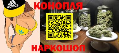гашик Гагарин