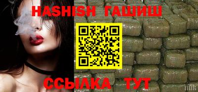 дмт Гай