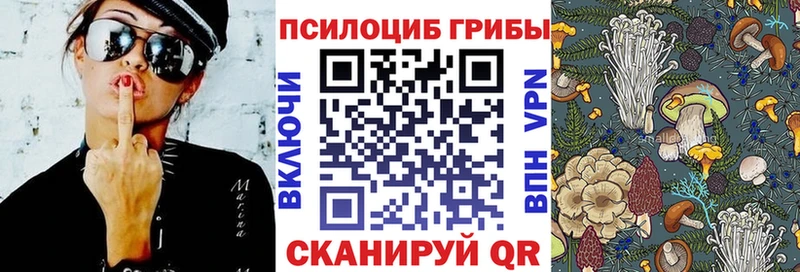 Псилоцибиновые грибы Psilocybe  что такое   мориарти наркотические препараты  Салават 